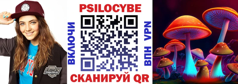 Купить закладки  Болохово  Галлюциногенные грибы Psilocybe 